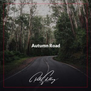 1000 x 1000 Autumn Road