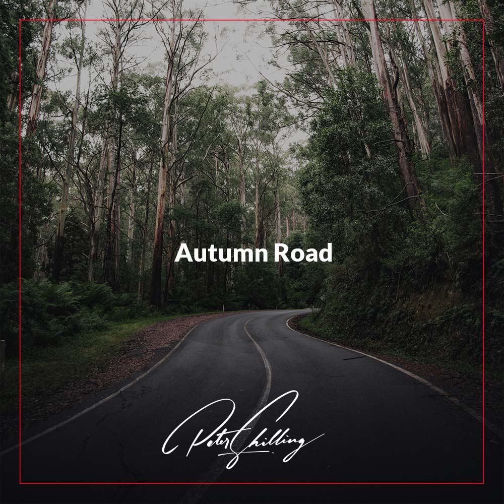1000 x 1000 Autumn Road